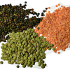 Lentils
