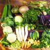 Green Vegetable