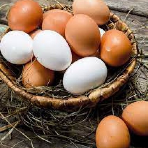 Egg - ডিম