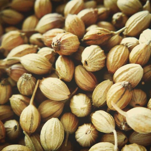 Dhoniya Whole - আস্ত ধনিয়া