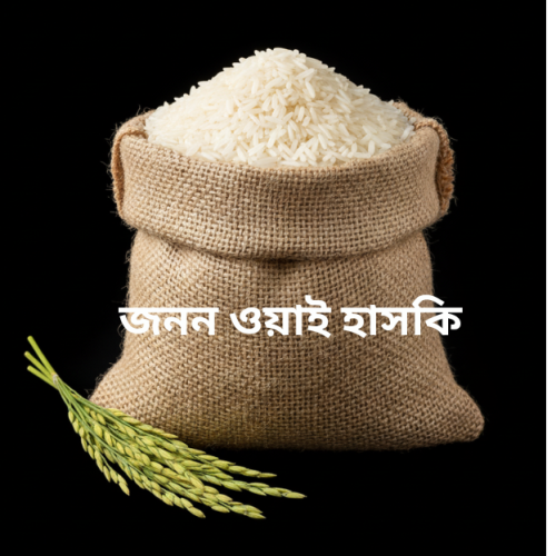 JononY Huski (হাসকি)