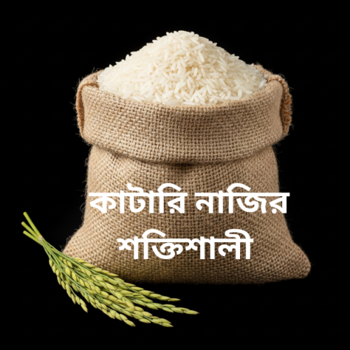 Rice Katari Nazir (Shokti)