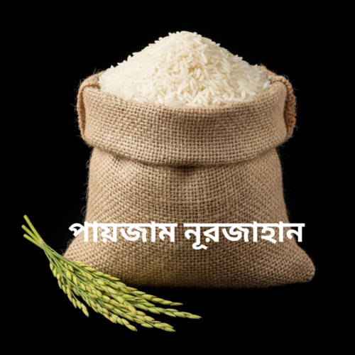Paijam Nurjahan (Indian) -পাইজাম চাল
