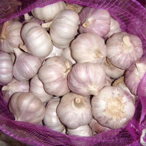 Roshun China বড়