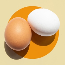Egg - ডিম