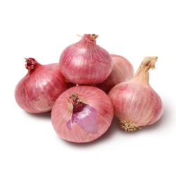Onion  A - প্রিমিয়াম পেয়াজ