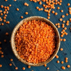 Lentils - Moshur Dal (Chikon)