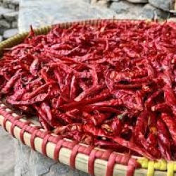 Dry Chili/ Shukno Morich - শুকনা মরিচ