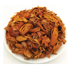 Joyotri (Mace) - জয়ত্রী