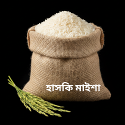 Haski (Maisha) Rice - হাসকি (মাইশা) চাল