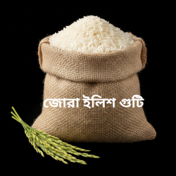 Jora Ilish Guti Rice