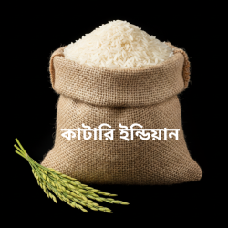 Katari Indian (Palki) পালকি