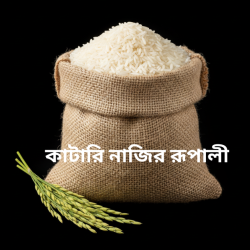 Katari Najir (Rupali)