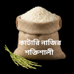 Rice Katari Nazir (Shokti)