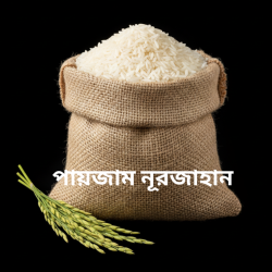 Paijam Nurjahan (Indian) -পাইজাম চাল