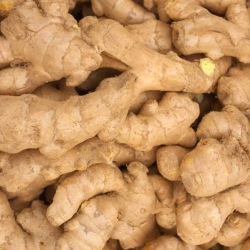 Ginger /Ada - চায়্না আদা