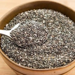Chia Seed (Sia Seed)