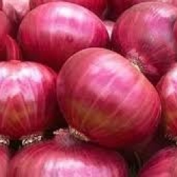 LC Onion