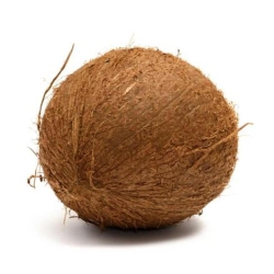 Narikel (Coconut)
